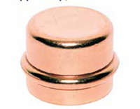 CPR PRS CAP P 4 Image